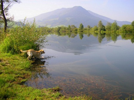 Štrkovisko Párnica - lov